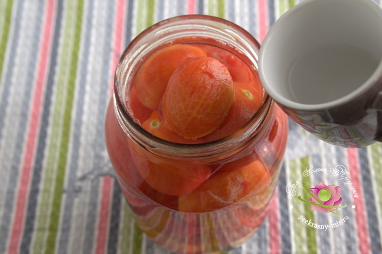 консервированные помидоры с базиликом рецепт с фото