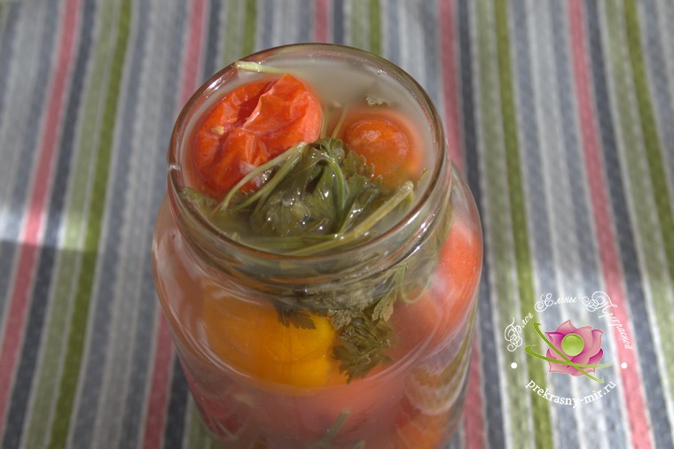 малосольные помидоры с чесноком и петрушкой рецепт с фото