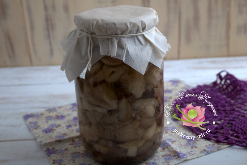 Маринованные маслята с яблочным уксусом рецепт в домашних условиях