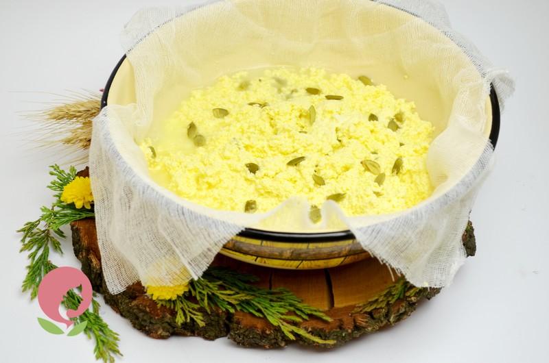 домашний сыр с тыквенными семечками рецепт в домашних условиях