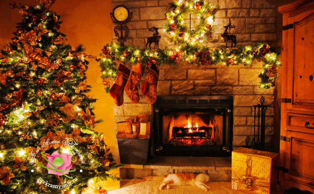 Обряды и ритуалы на Рождество и Старый Новый год