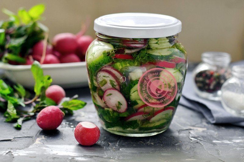 Салат из редиса и огурцов на зиму: рецепт в домашних условиях