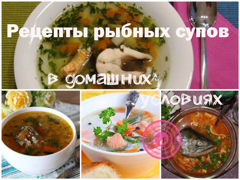 Рыбный суп: рецепты в домашних условиях с фото и видео